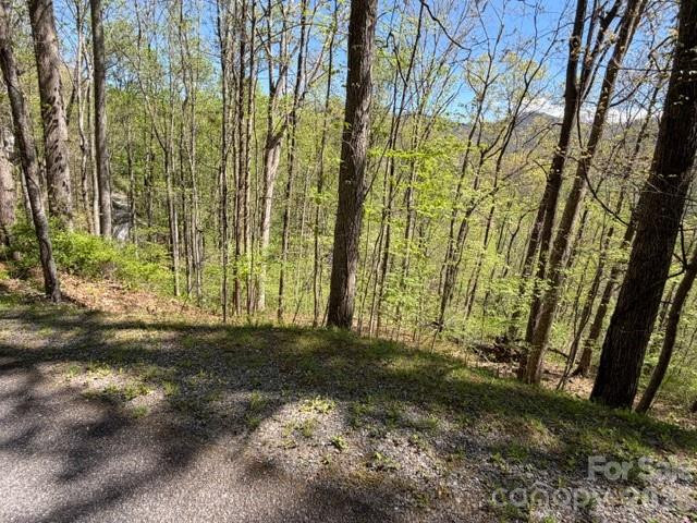 0000 Greenview Drive - Photo 10