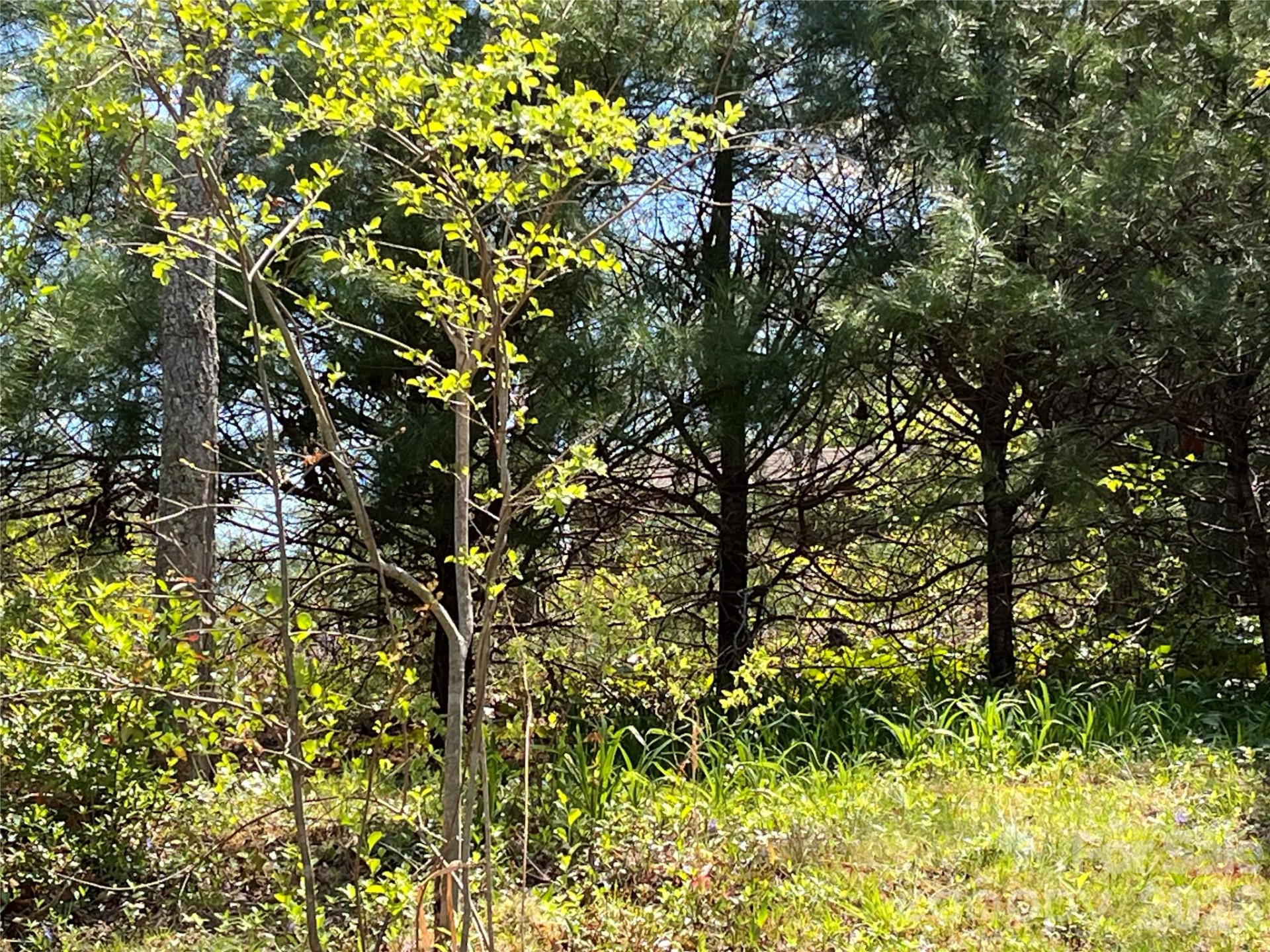 21 Ozark Spring Lane