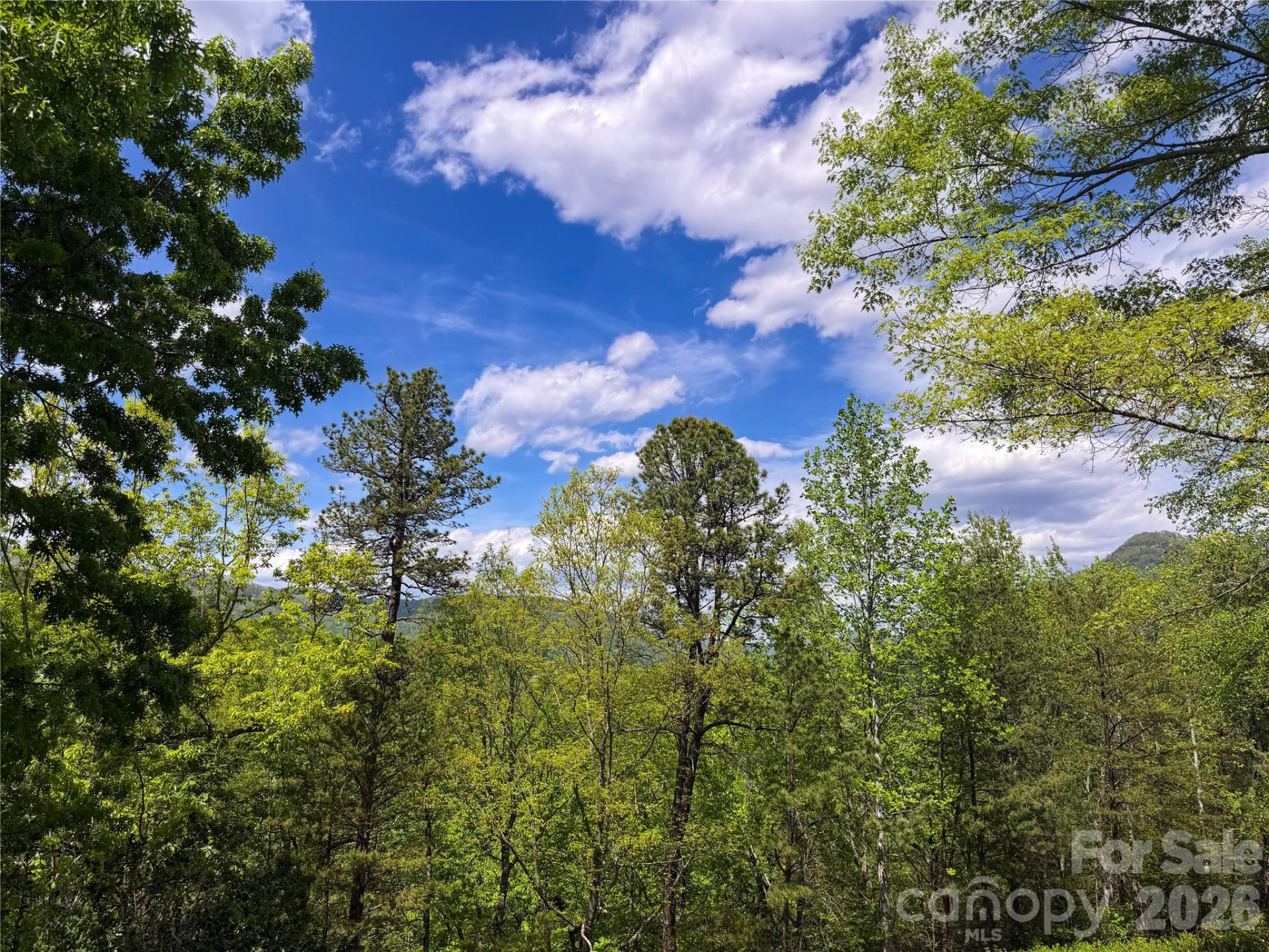 556 Quail Ridge Boulevard - Photo 20