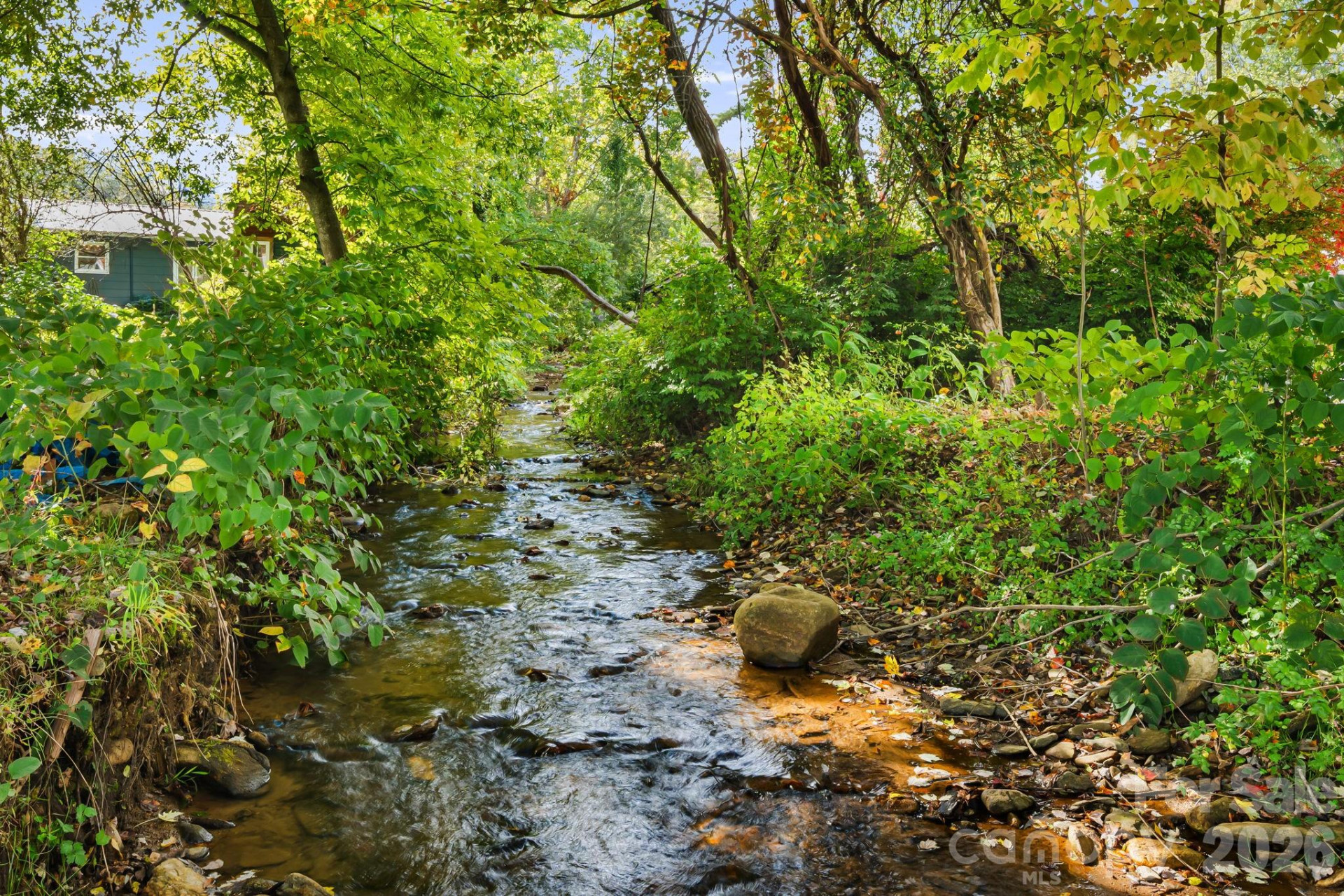 25 Pinewood Drive - Photo 30