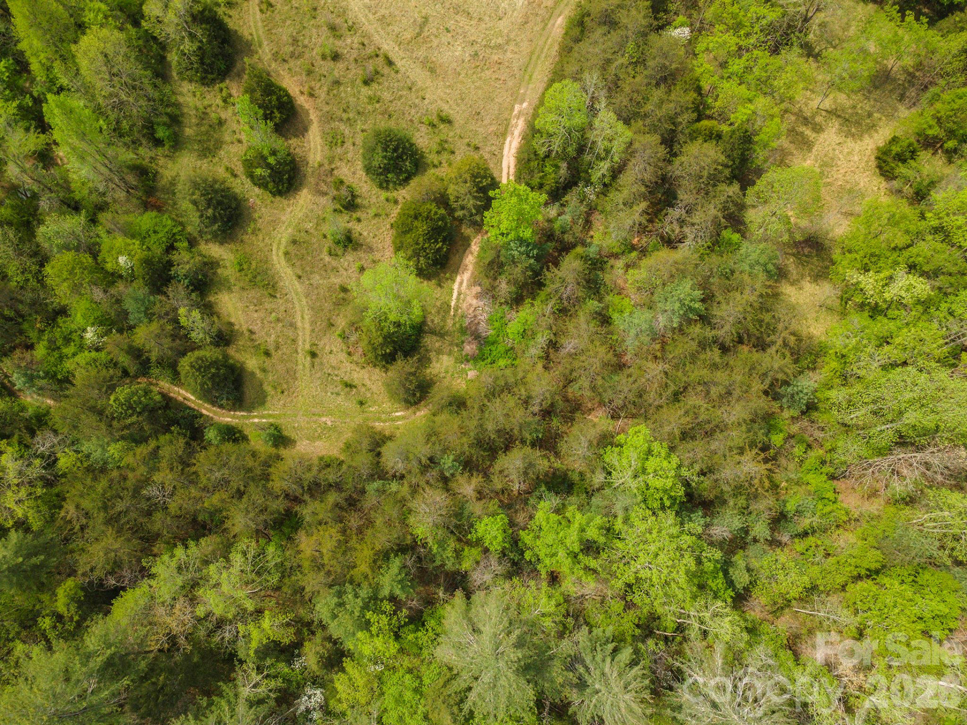 0 Henderson Mill Road - Photo 11