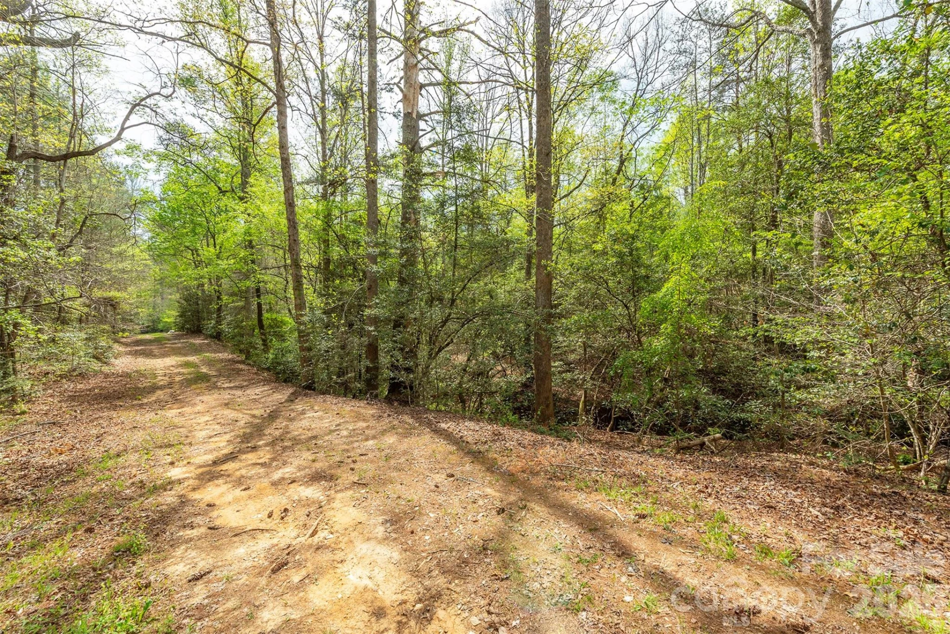 0 Henderson Mill Road - Photo 3