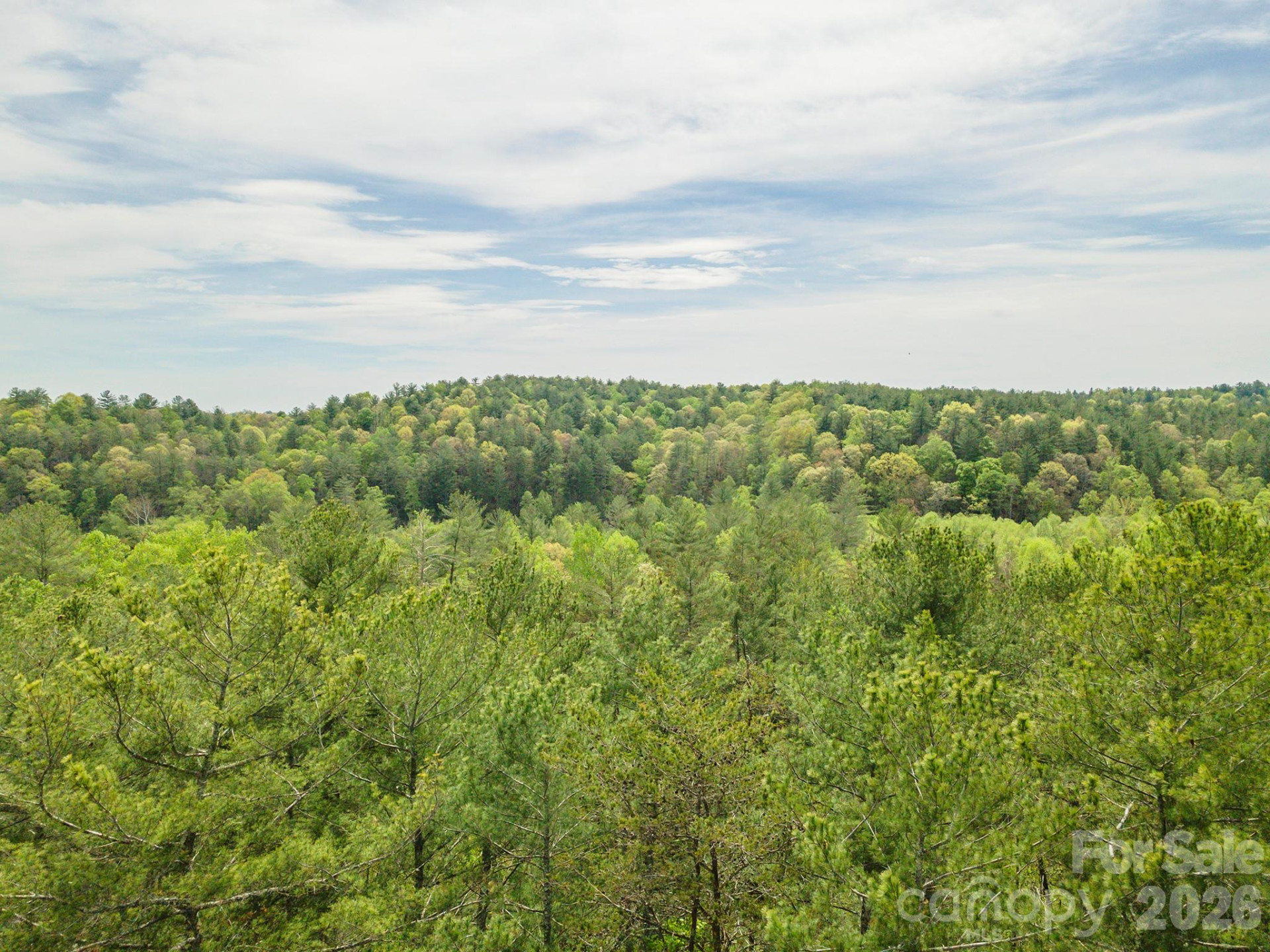 0 Henderson Mill Road - Photo 32