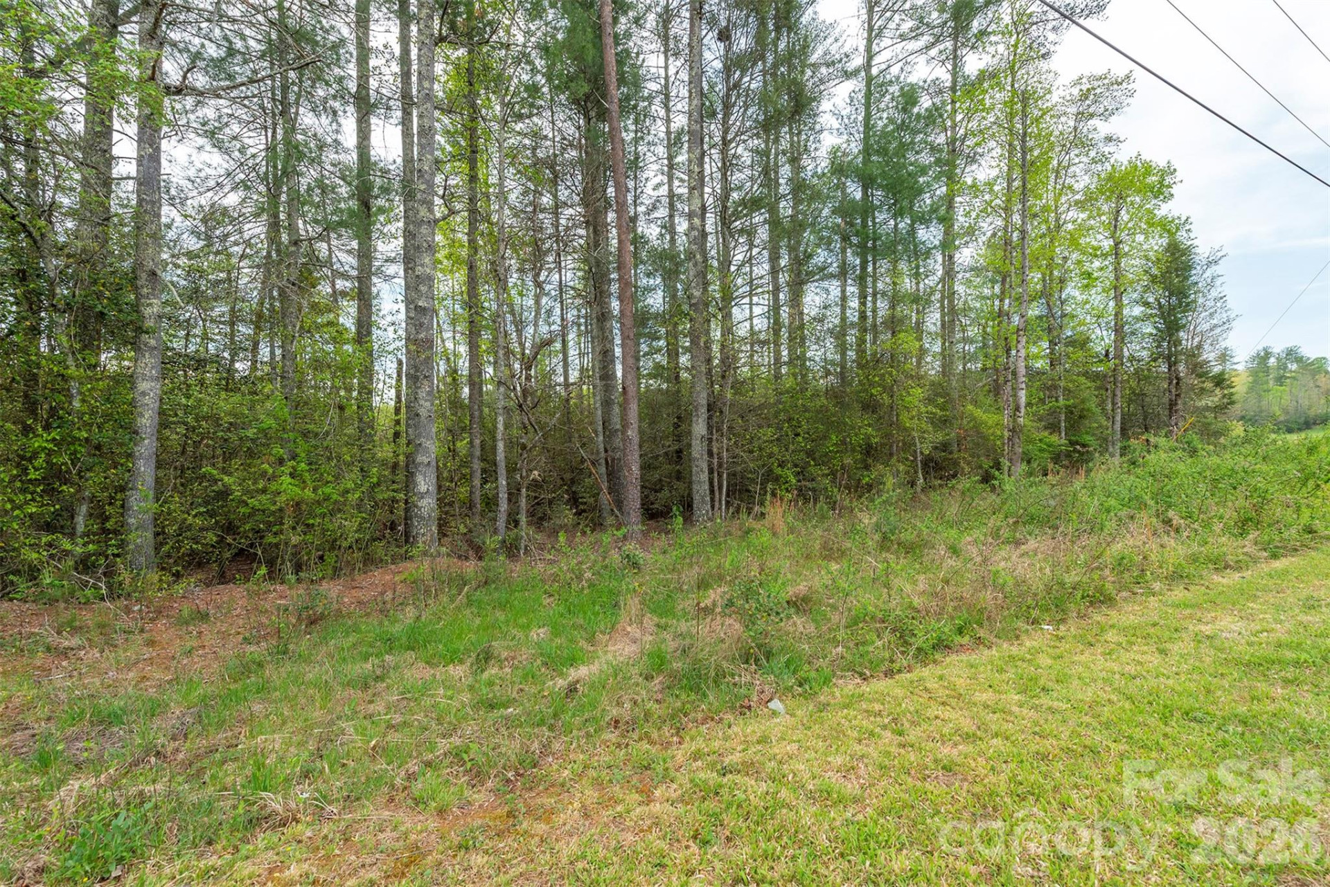 0 Henderson Mill Road - Photo 5