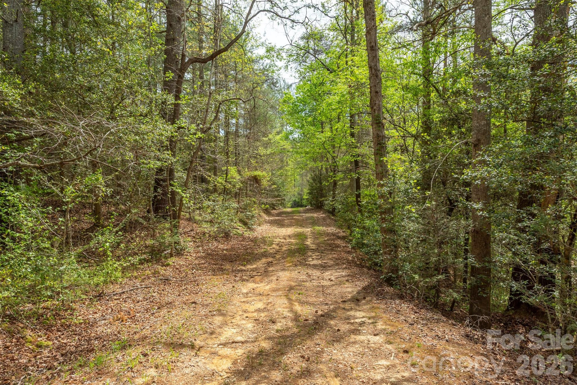 0 Henderson Mill Road - Photo 6