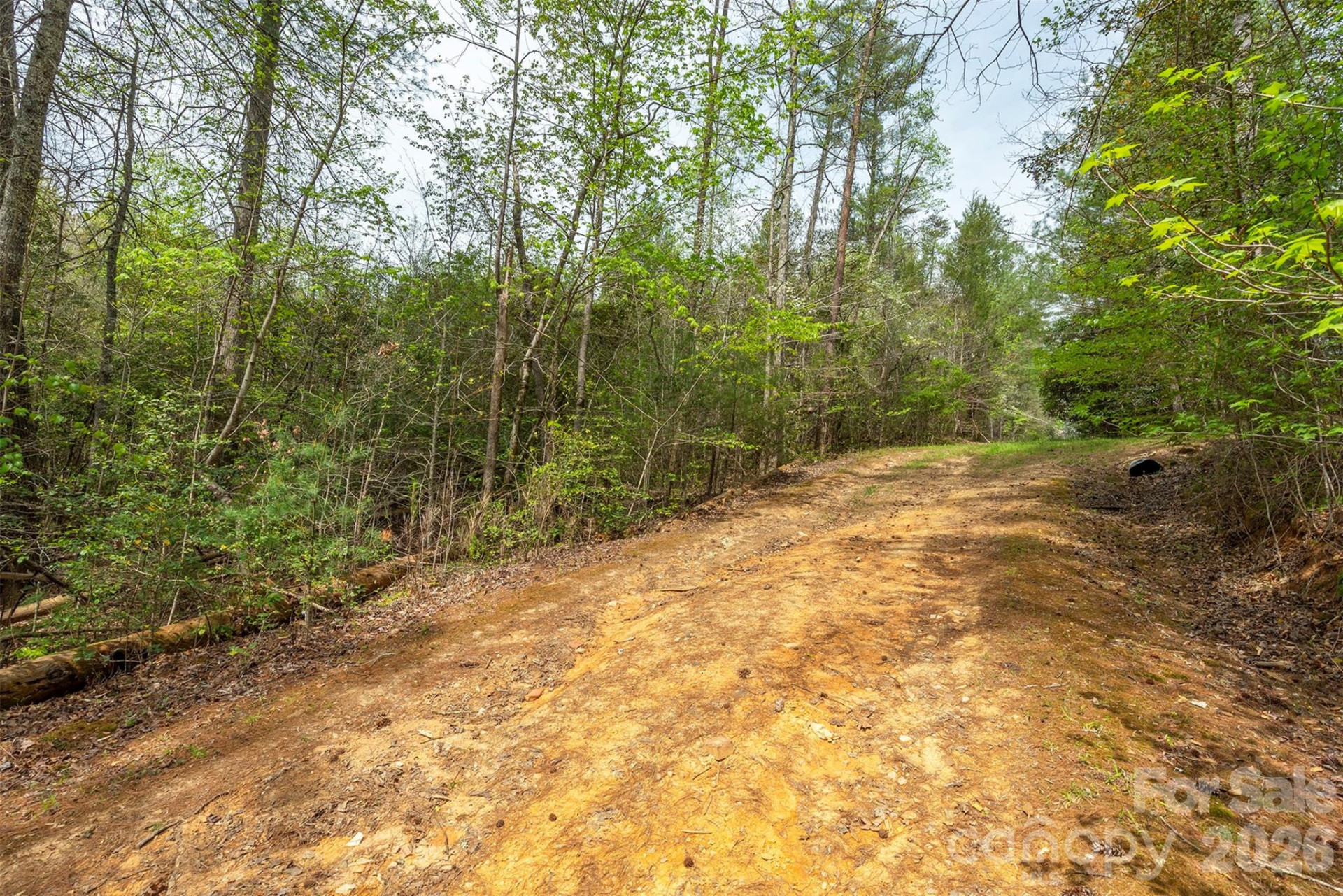 0 Henderson Mill Road - Photo 7