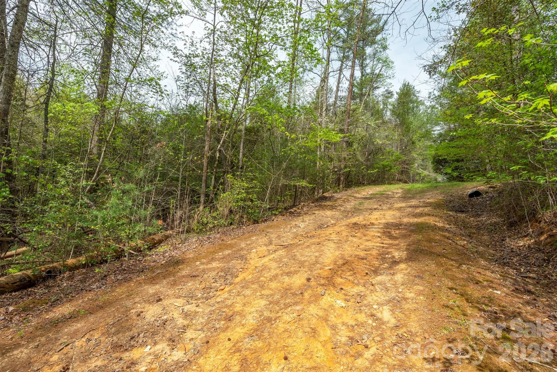 0 Henderson Mill Road - Photo 7