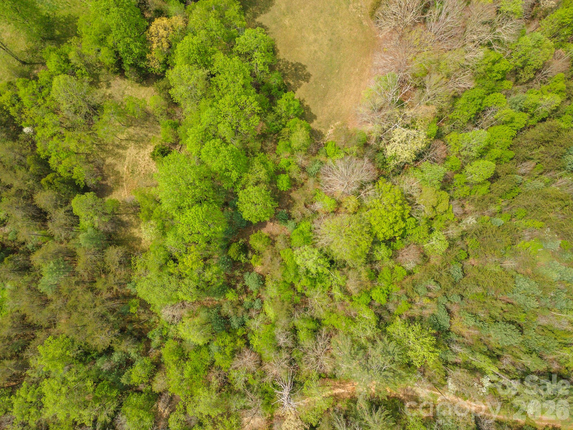 0 Henderson Mill Road - Photo 9