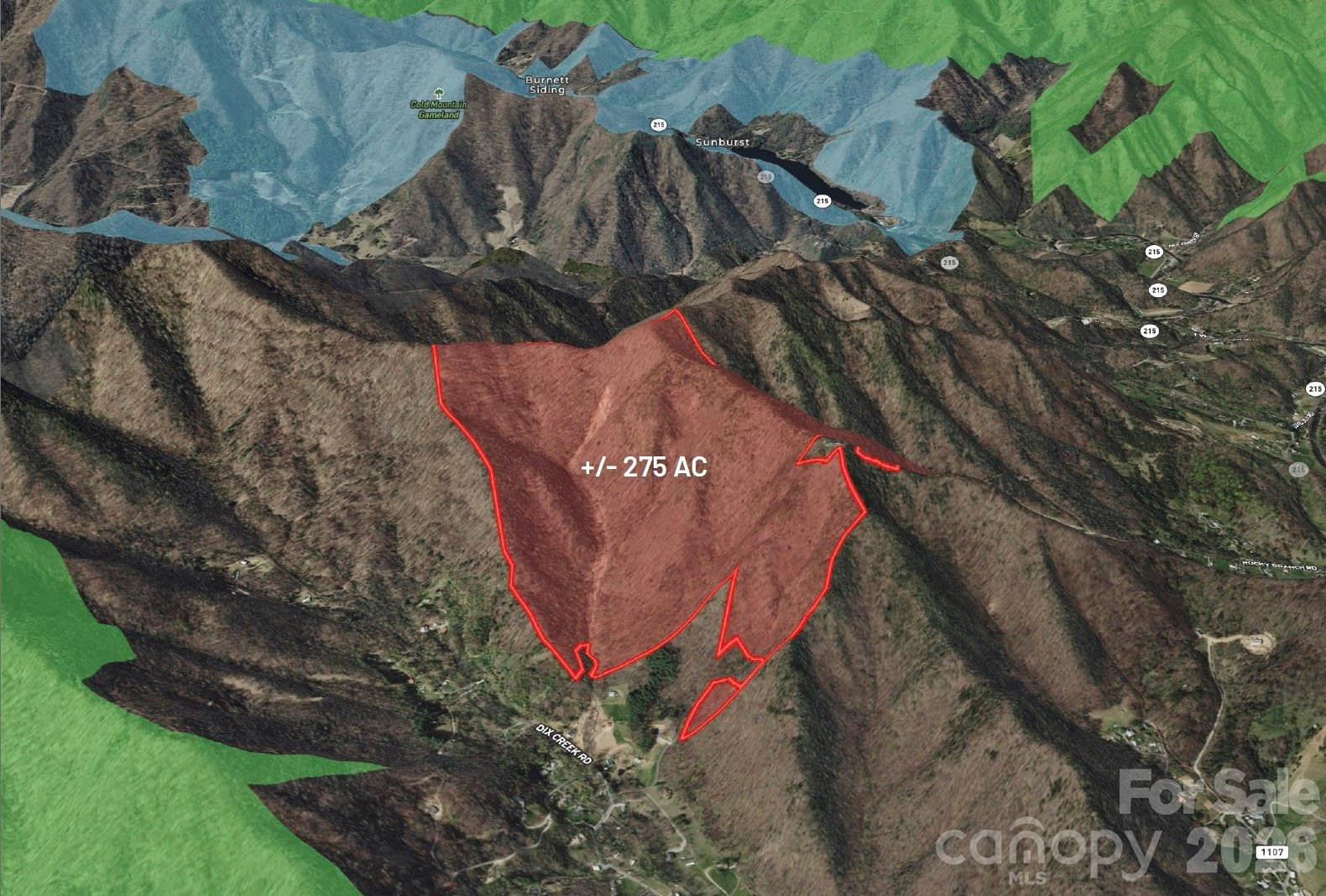 1299 Tiger Tail Lane - Photo 2