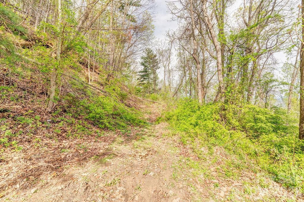 99999 Leisure Mountain Road #22 - Photo 4