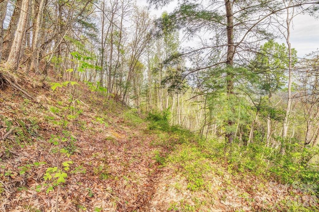 99999 Leisure Mountain Road #22 - Photo 7