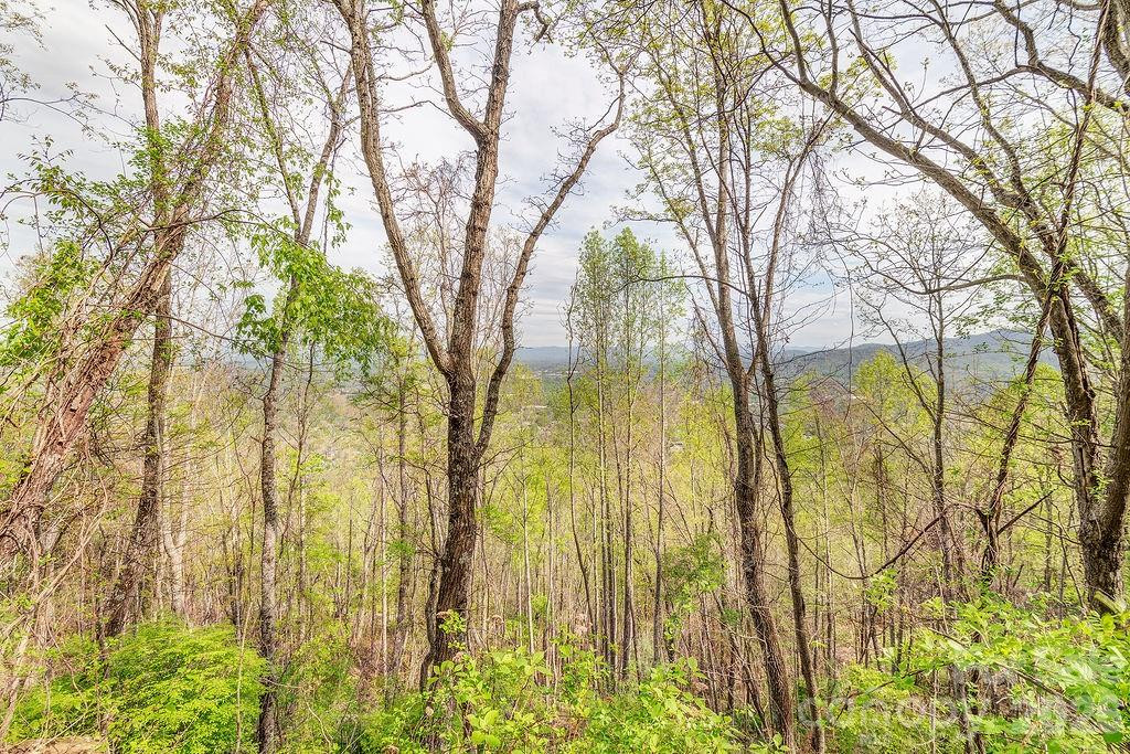 99999 Leisure Mountain Road #22 - Photo 8