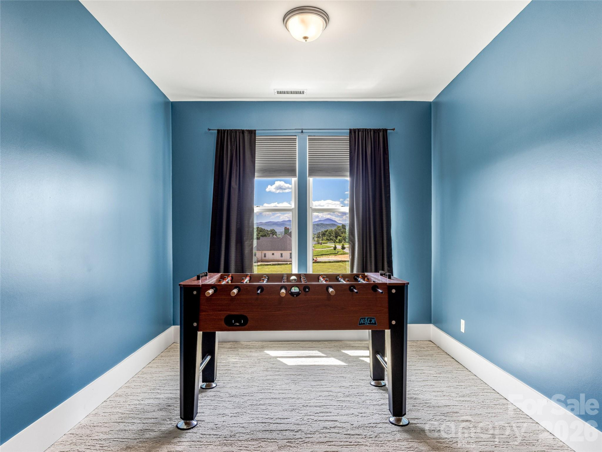 16 Pisgah Ridge Trail - Photo 26