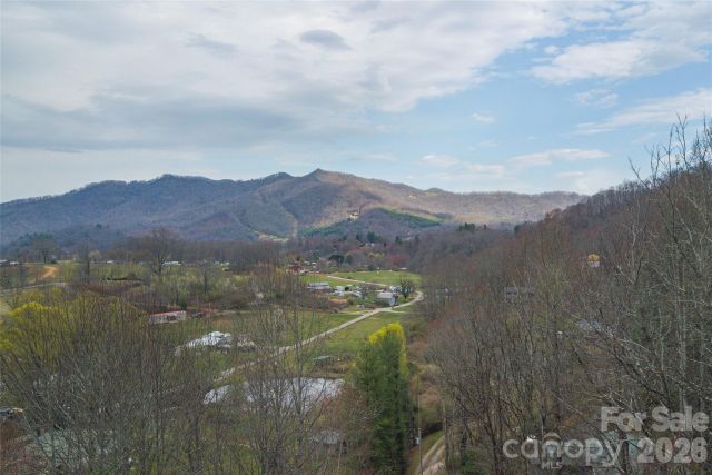 99999 Molasses Way, Waynesville, NC, 28785