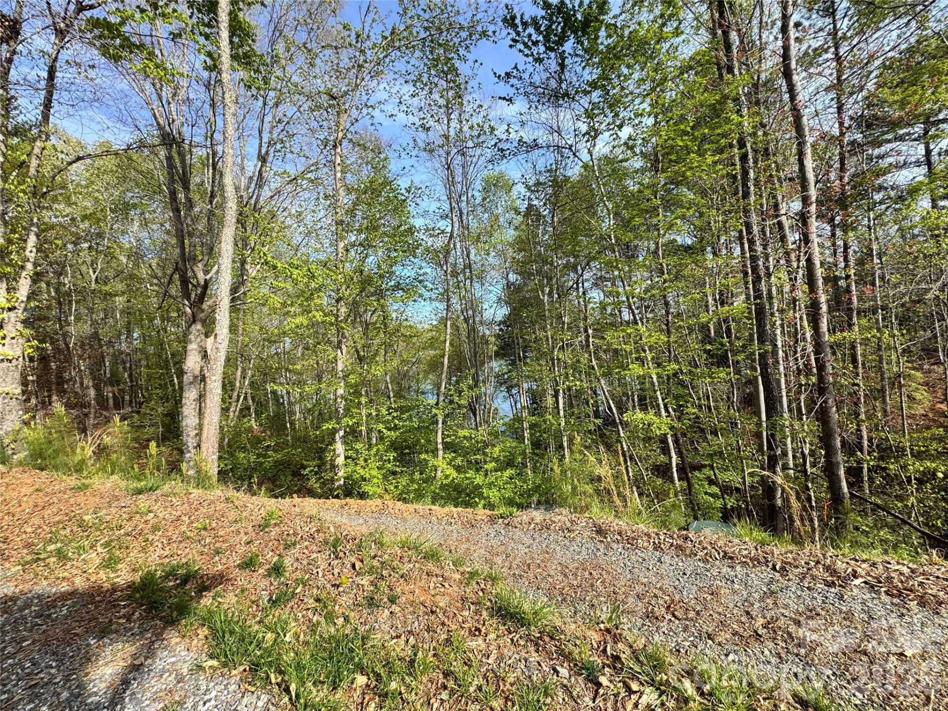 2371 Paradise Harbor Drive - Photo 5