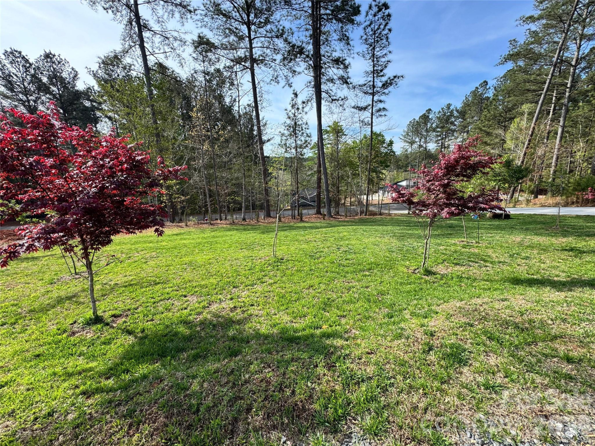 2371 Paradise Harbor Drive - Photo 6