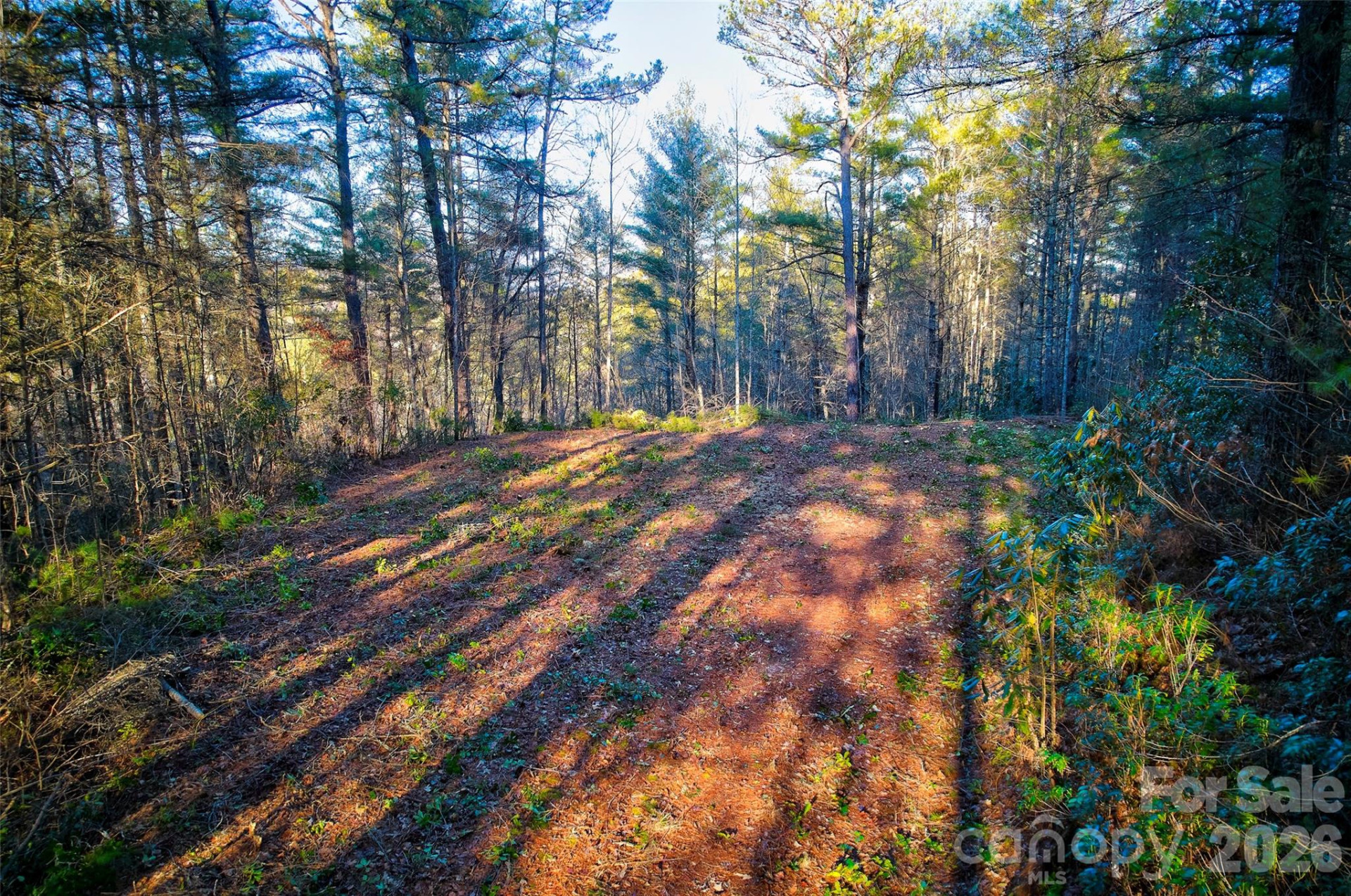00 Piney Cove Road - Photo 2