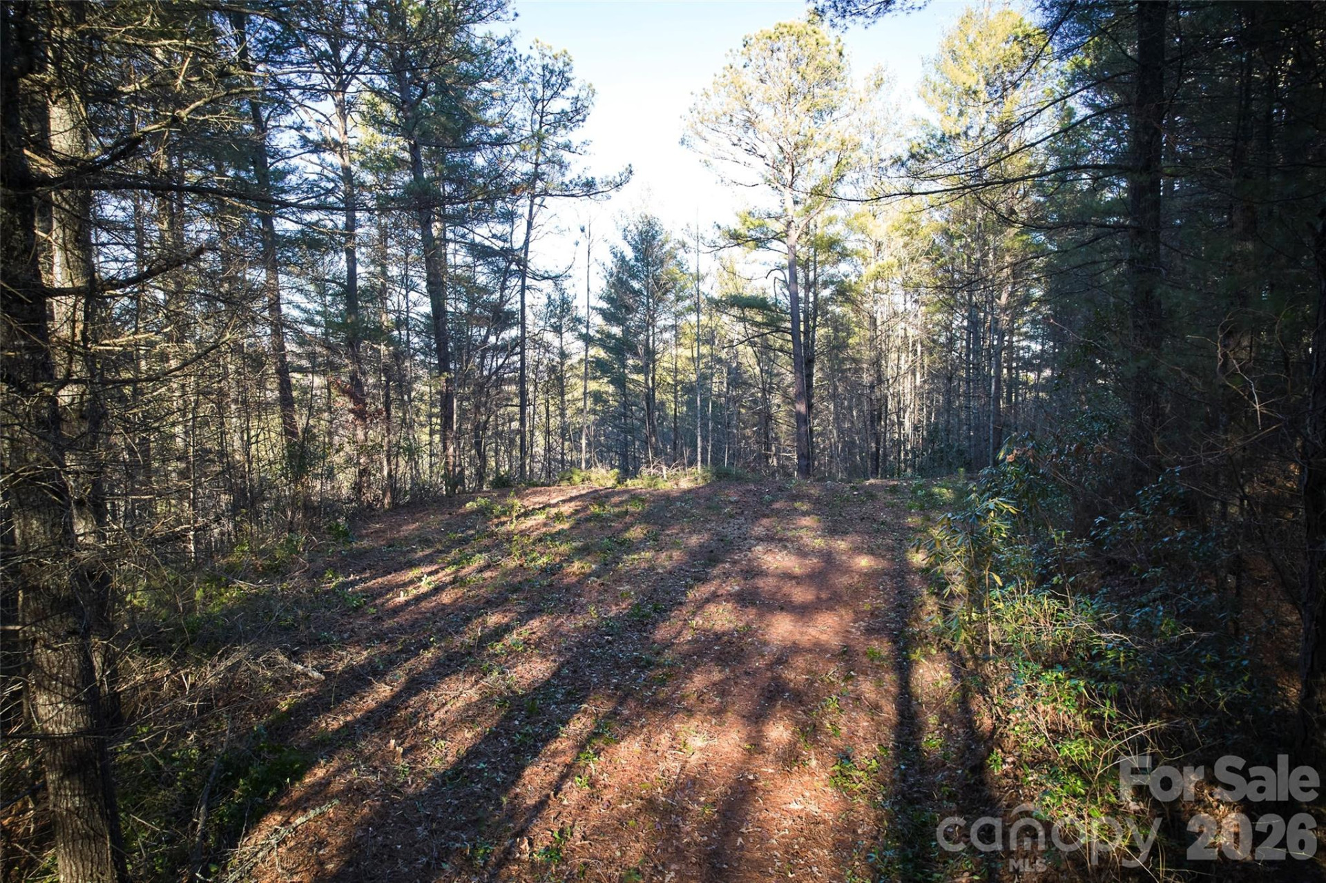 00 Piney Cove Road - Photo 3