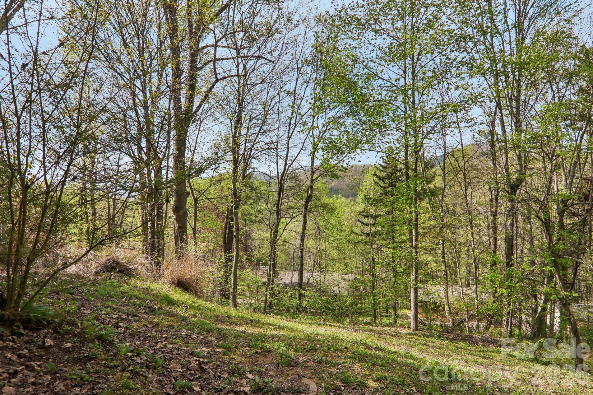 74 Link Circle - Photo 41