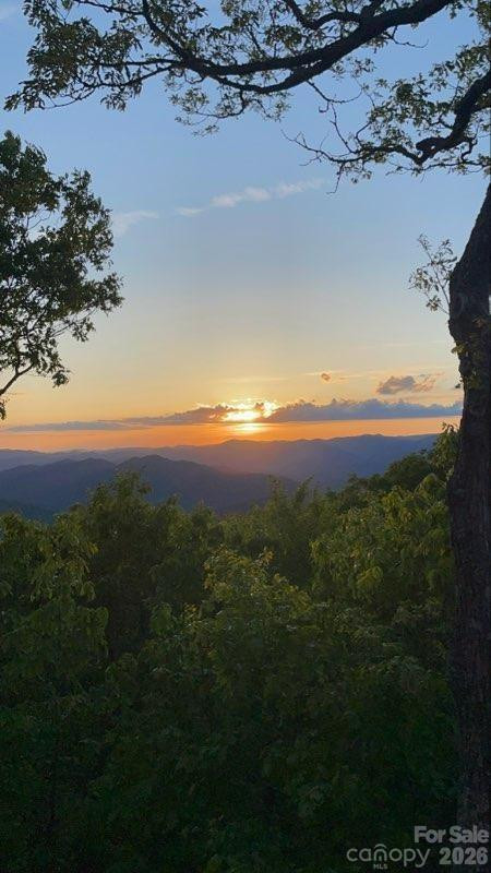 66 Club Villa Court #D-3 - Photo 44