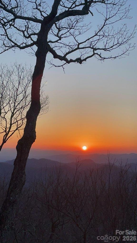 66 Club Villa Court #D-3 - Photo 45