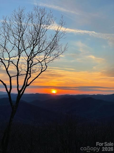 66 Club Villa Court #D-3 - Photo 6