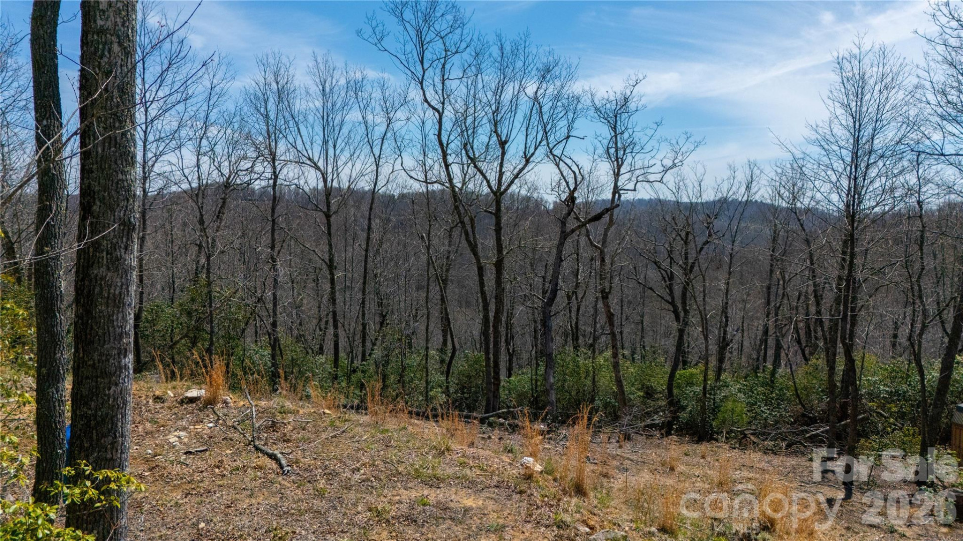 000 Walker Ridge - Photo 4