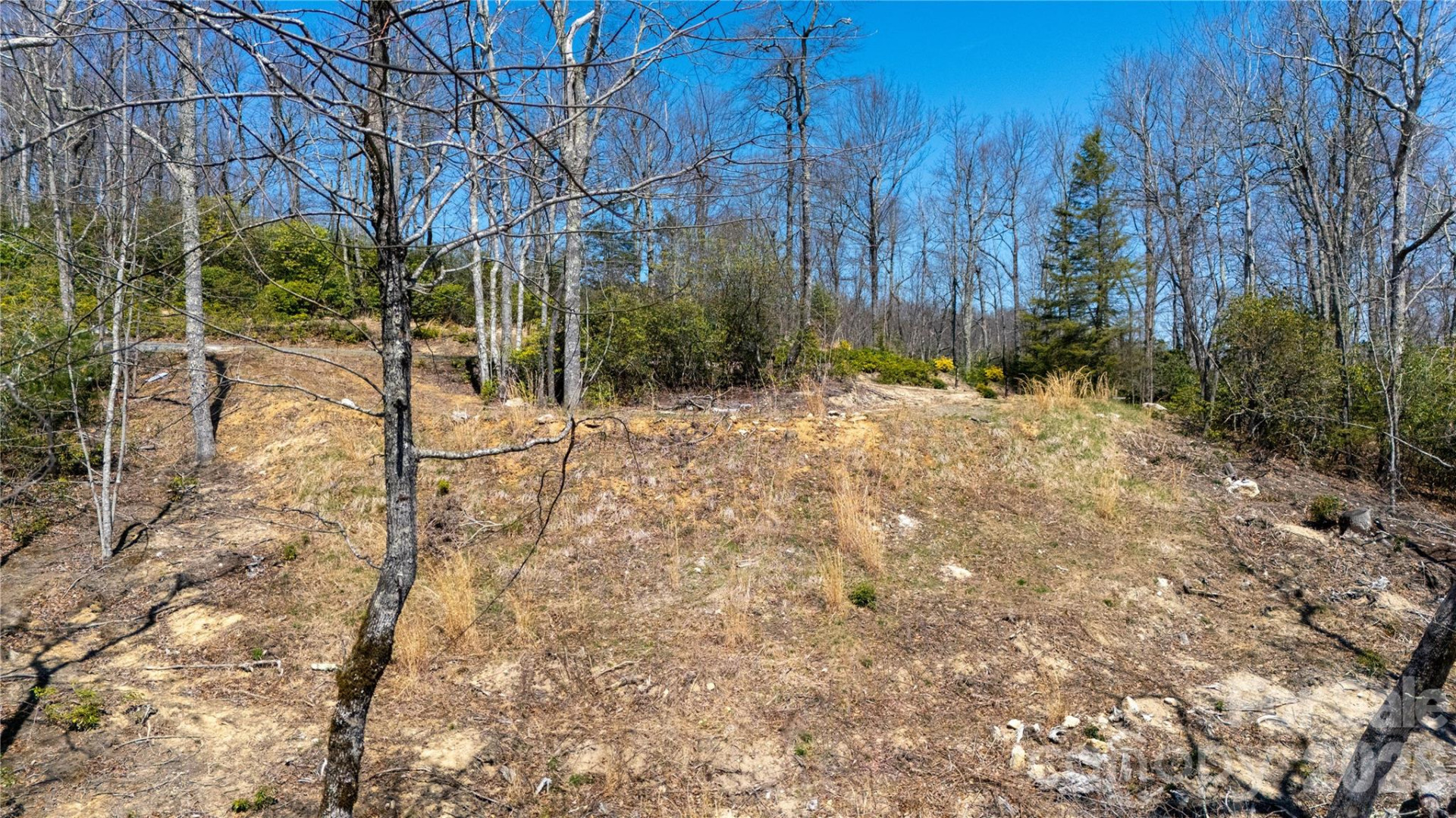 000 Walker Ridge - Photo 5