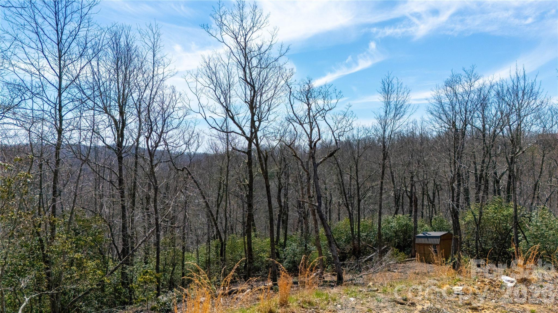 000 Walker Ridge - Photo 8