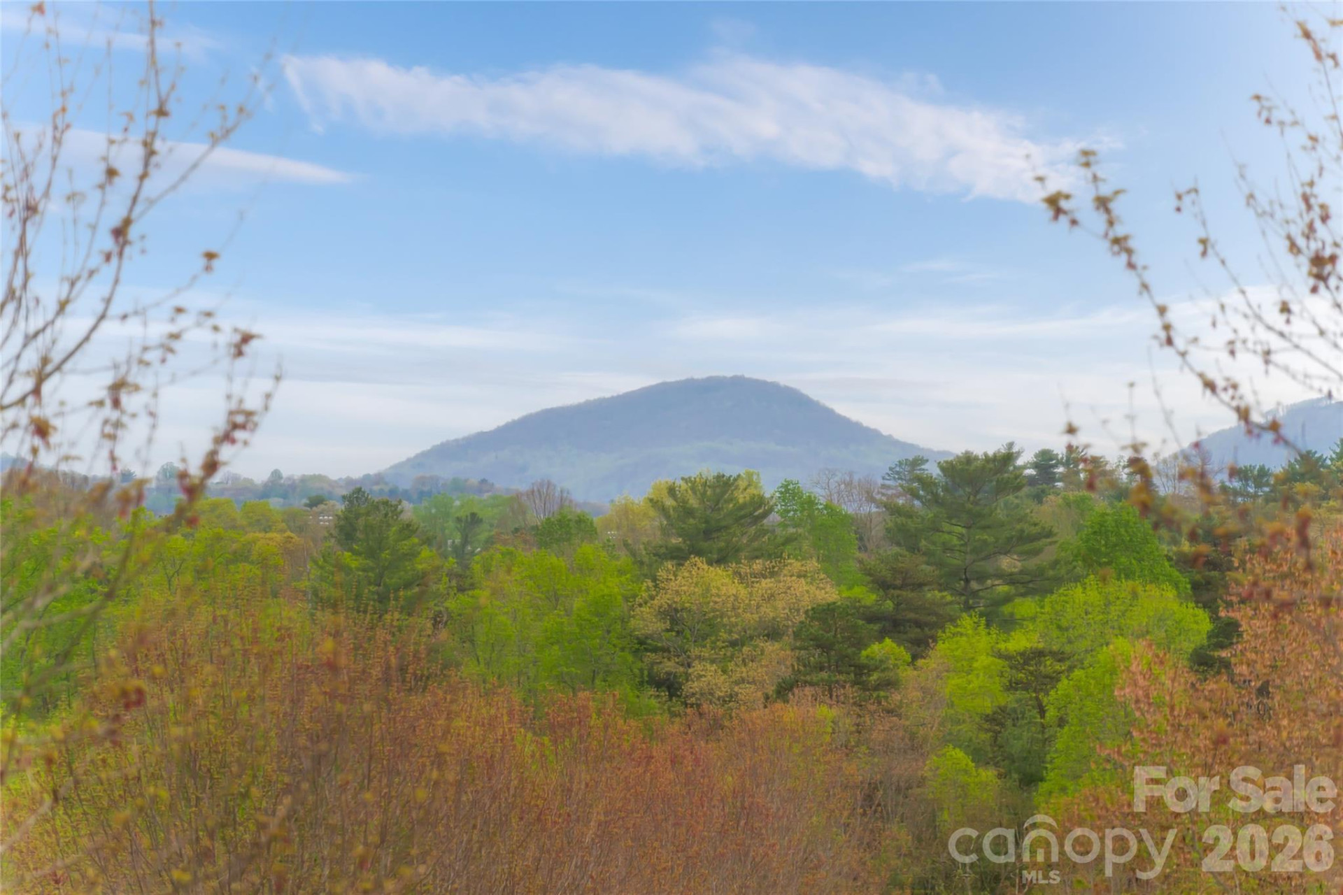 16 Dearborn Street - Photo 41