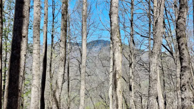 00 Maynor Drive, Sylva, NC, 28779