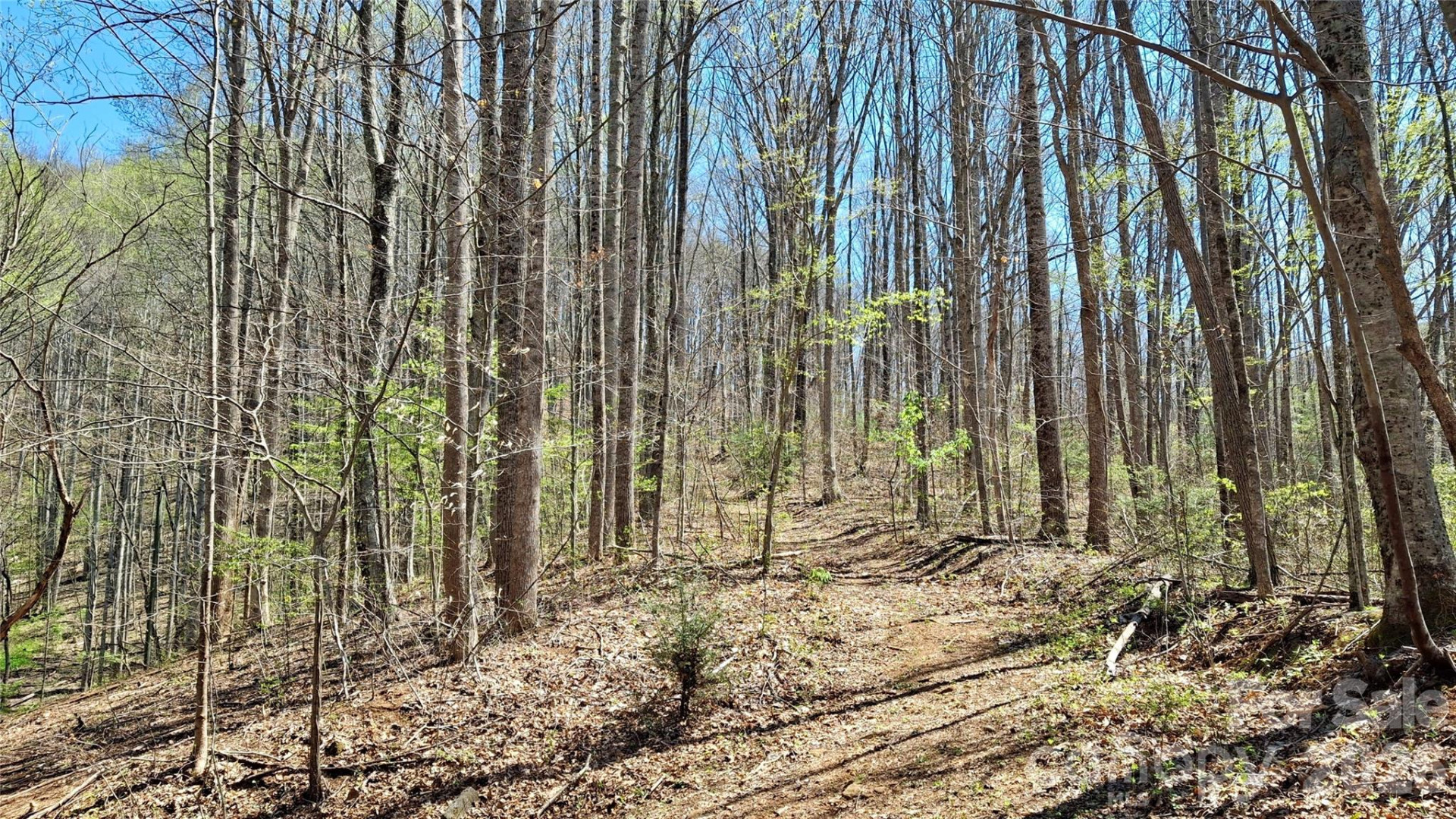 00 Maynor Drive - Photo 2