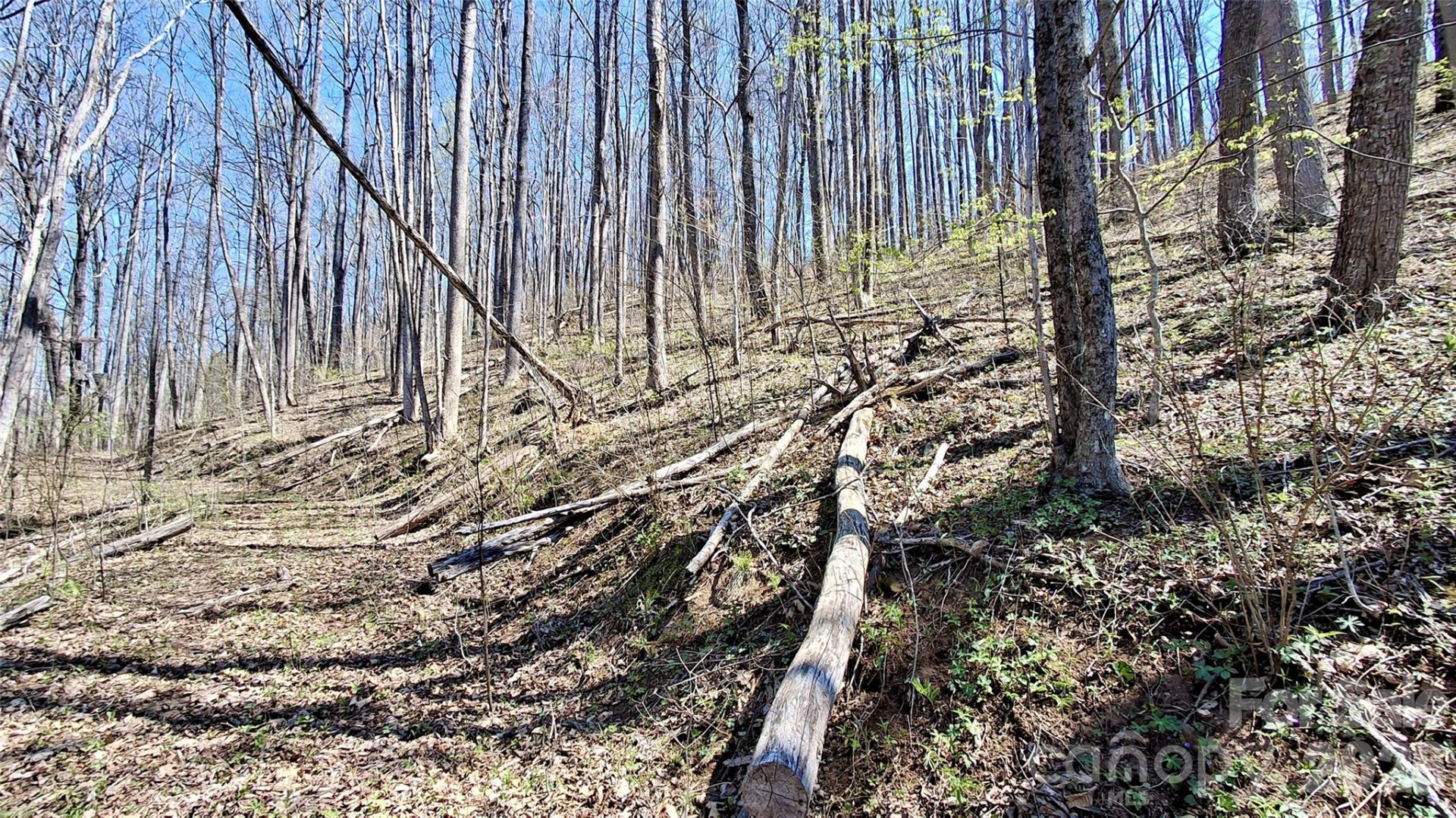 00 Maynor Drive - Photo 11