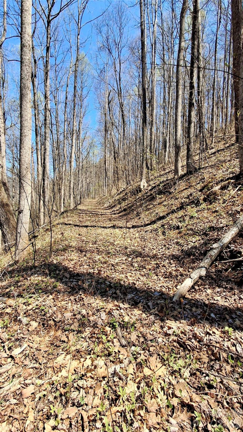 00 Maynor Drive - Photo 12