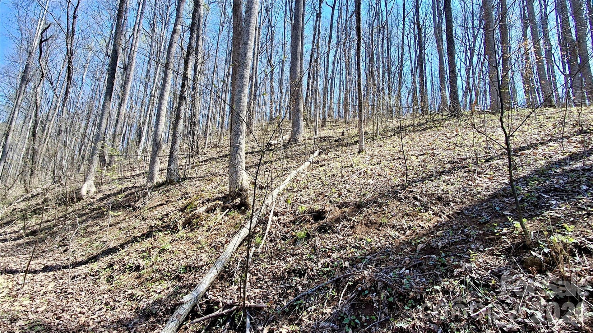 00 Maynor Drive - Photo 13