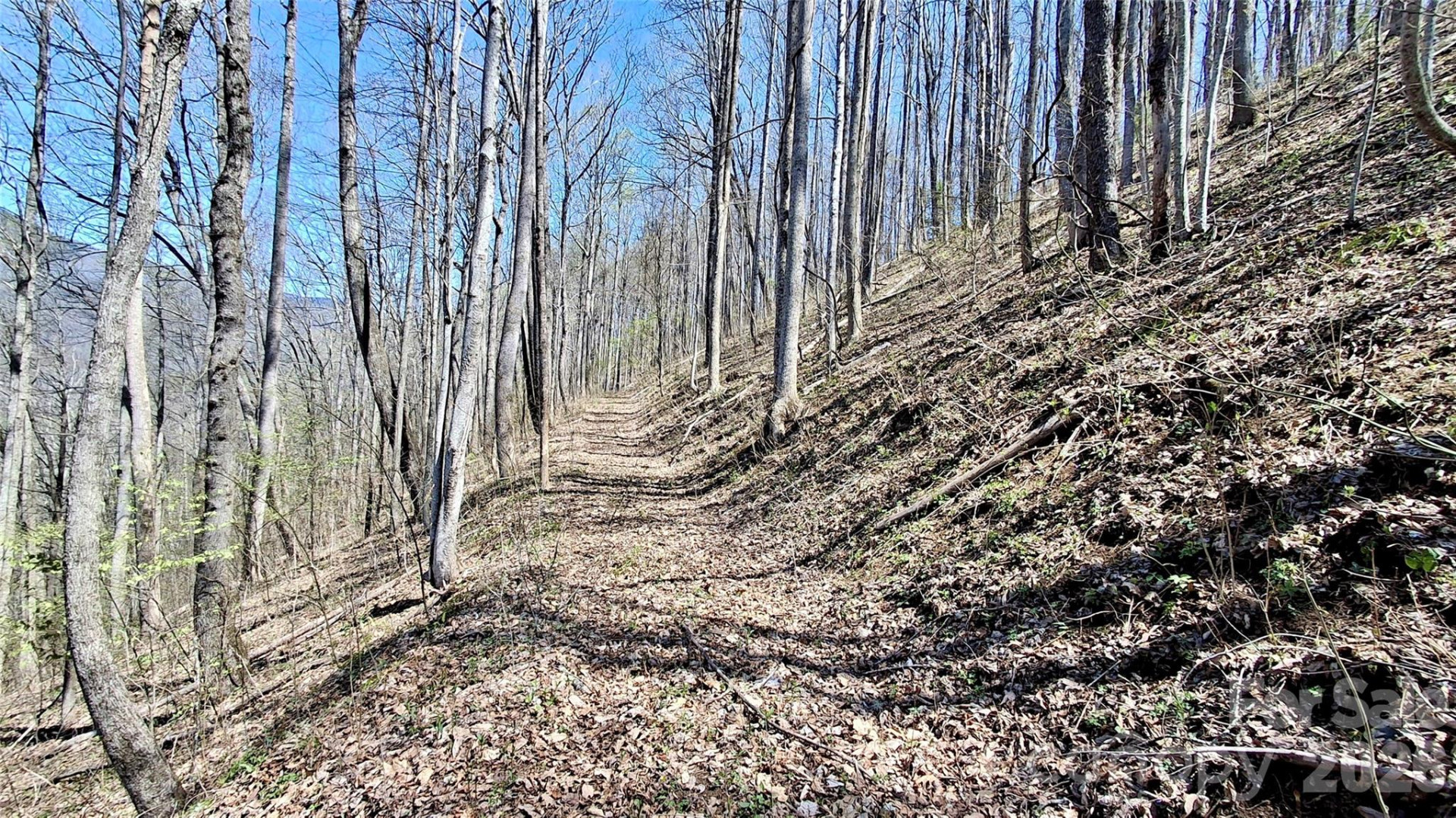 00 Maynor Drive - Photo 14