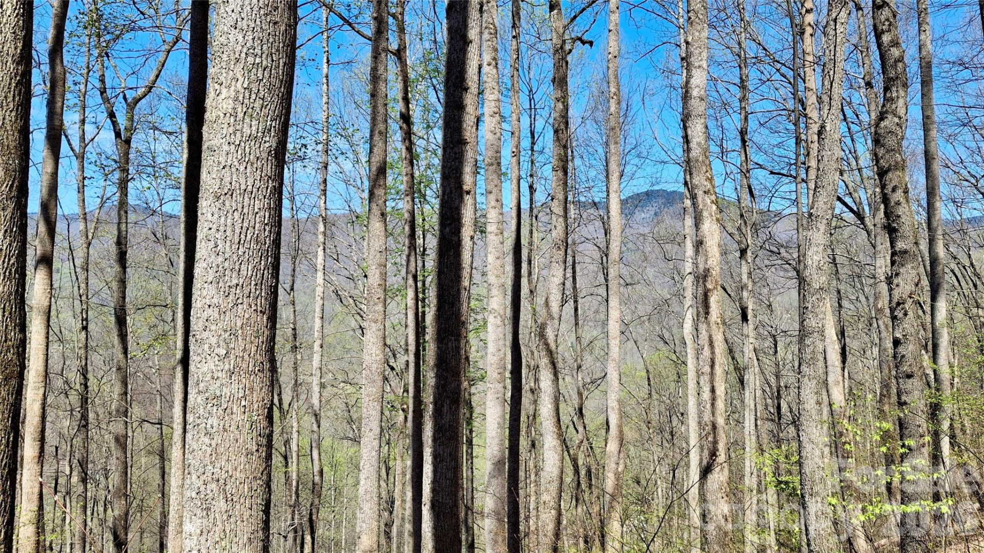 00 Maynor Drive - Photo 15