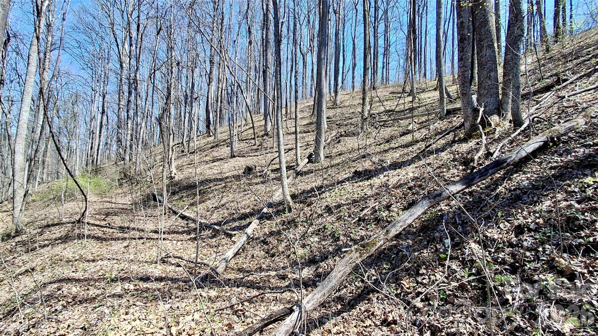 00 Maynor Drive - Photo 16