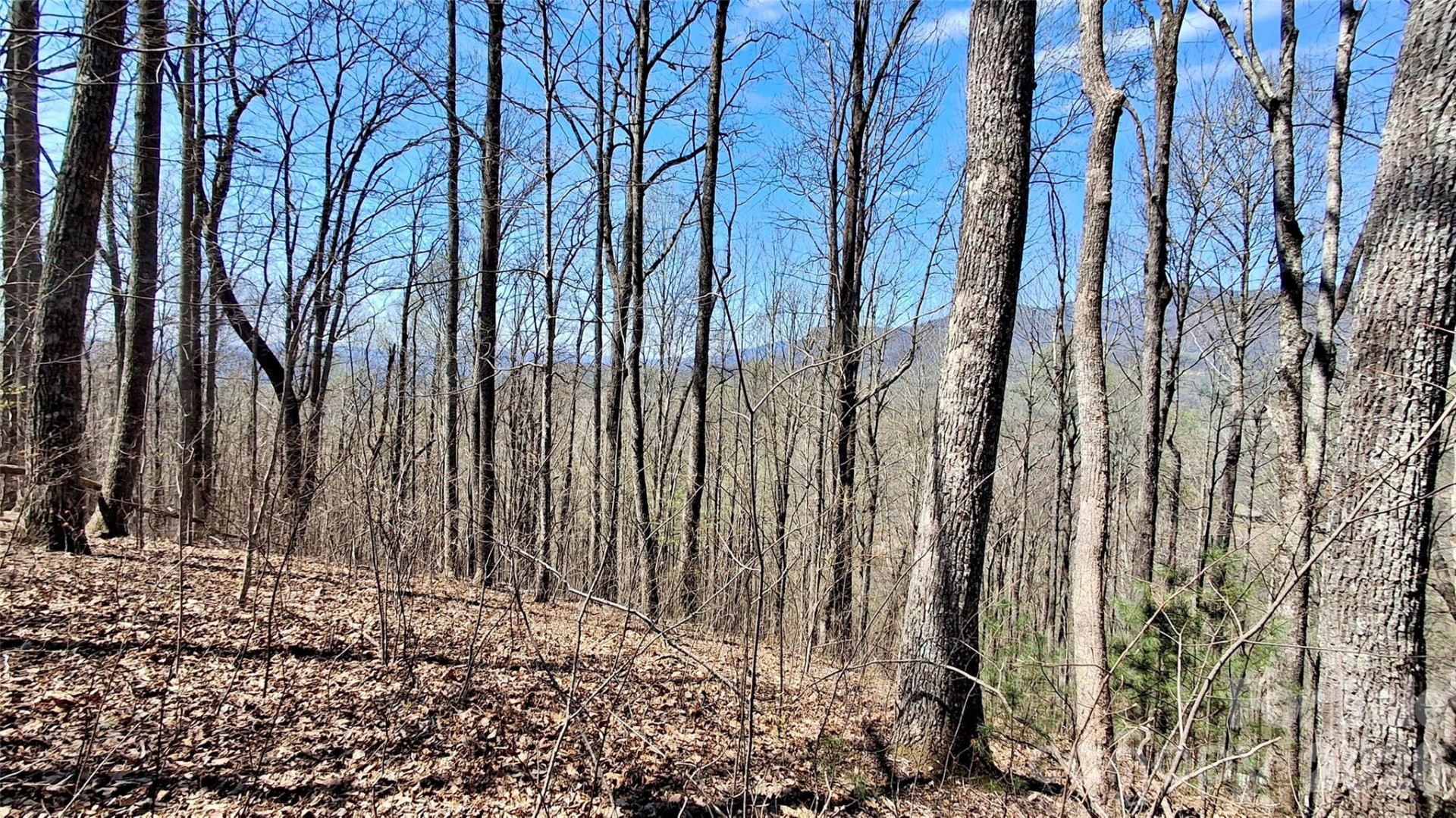 00 Maynor Drive - Photo 17