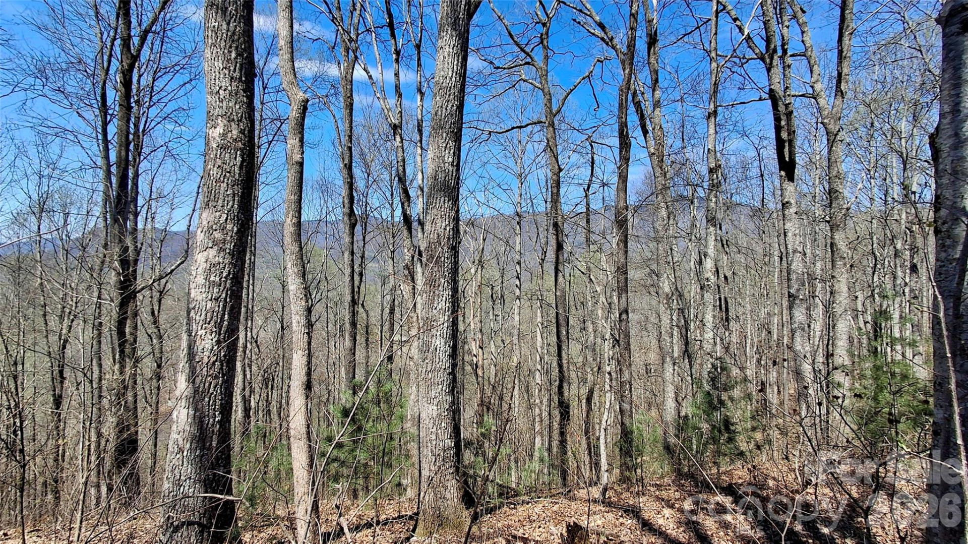 00 Maynor Drive - Photo 18