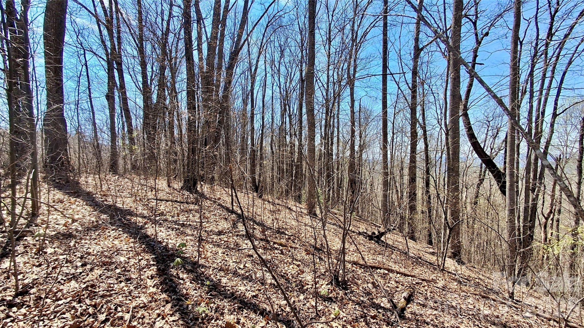 00 Maynor Drive - Photo 19