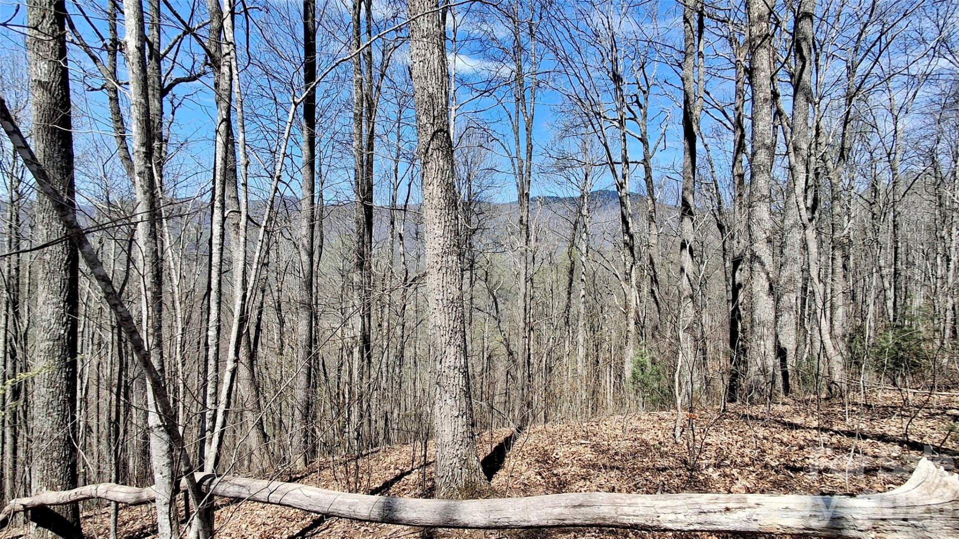 00 Maynor Drive - Photo 20