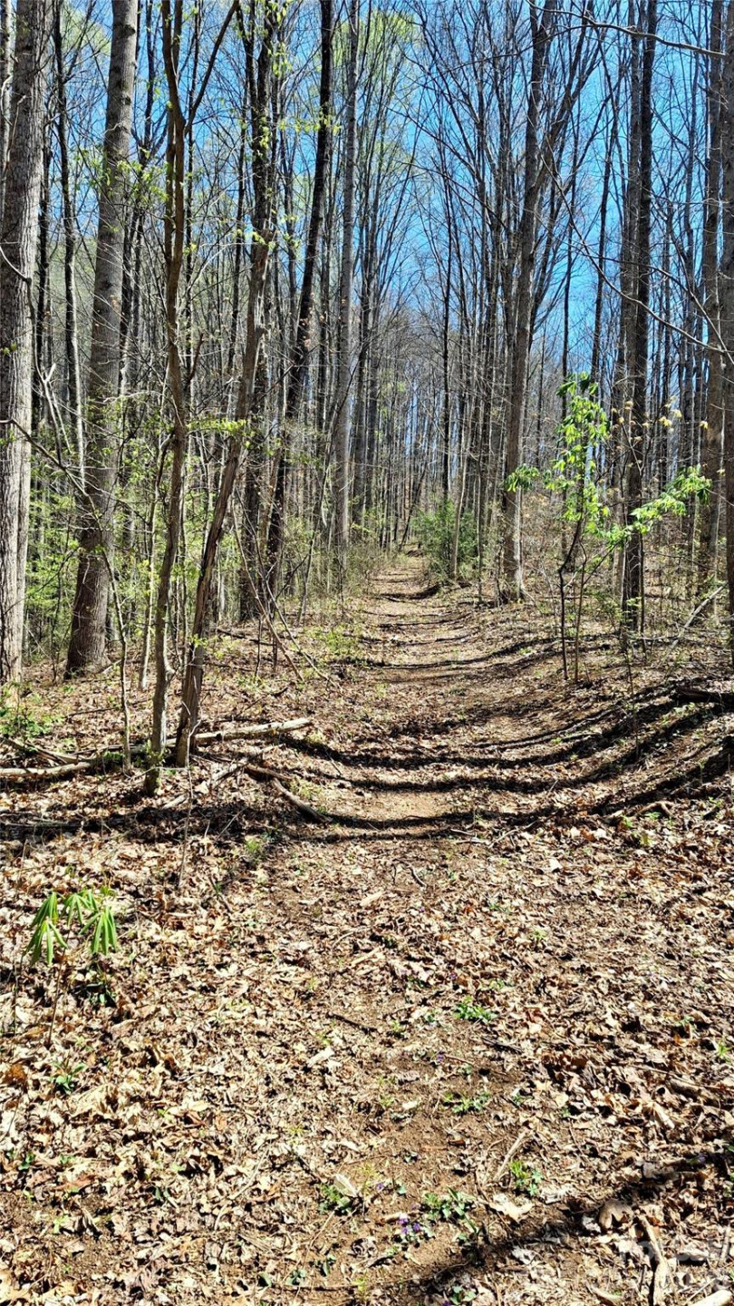 00 Maynor Drive - Photo 3