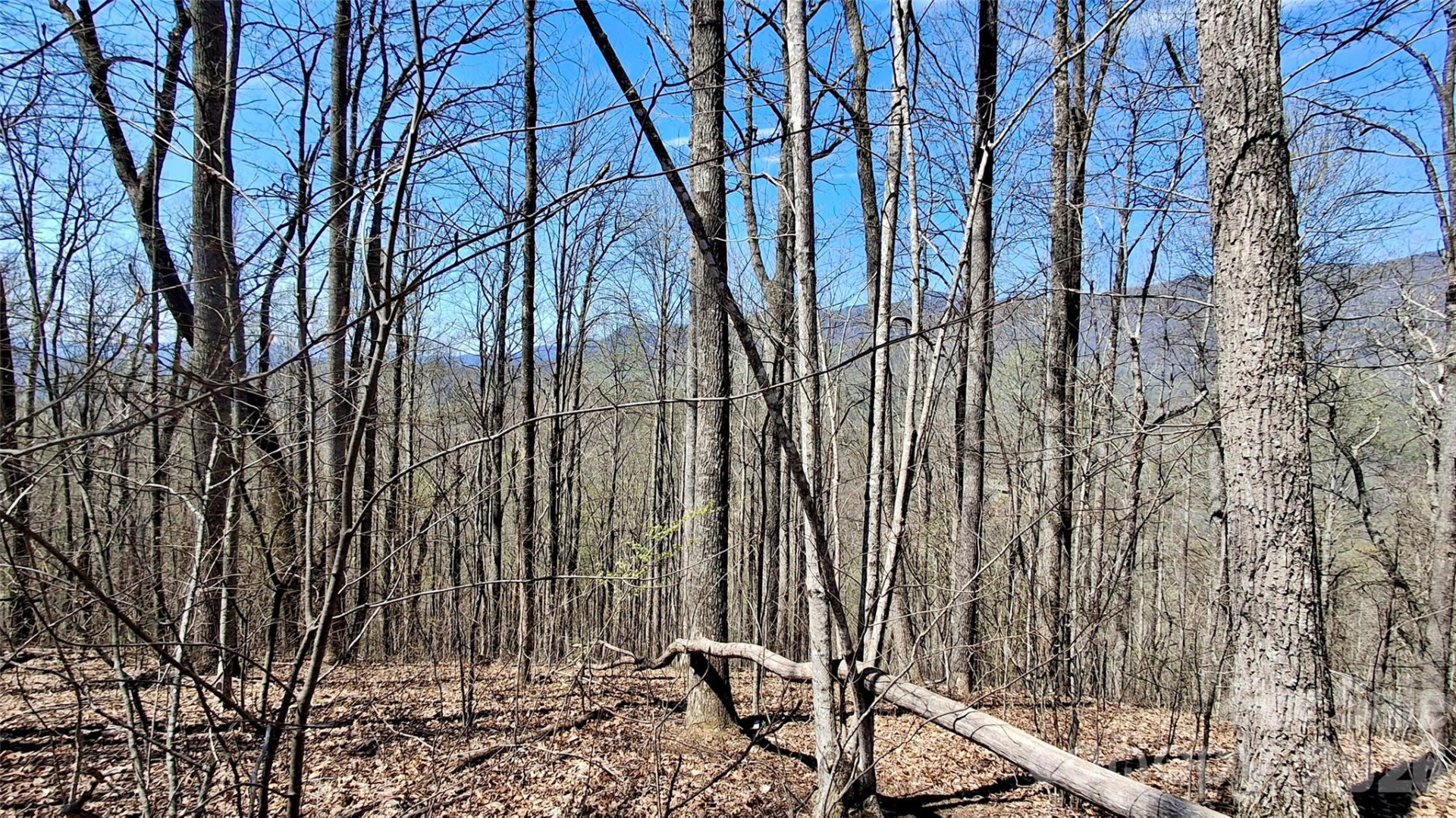 00 Maynor Drive - Photo 21