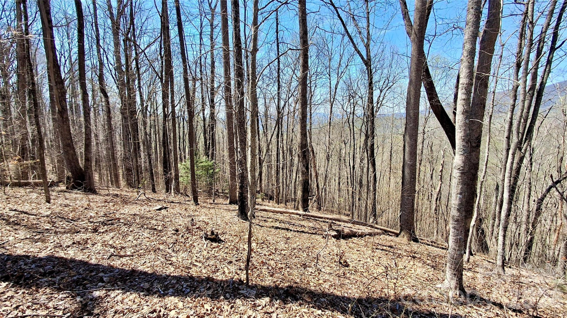 00 Maynor Drive - Photo 22