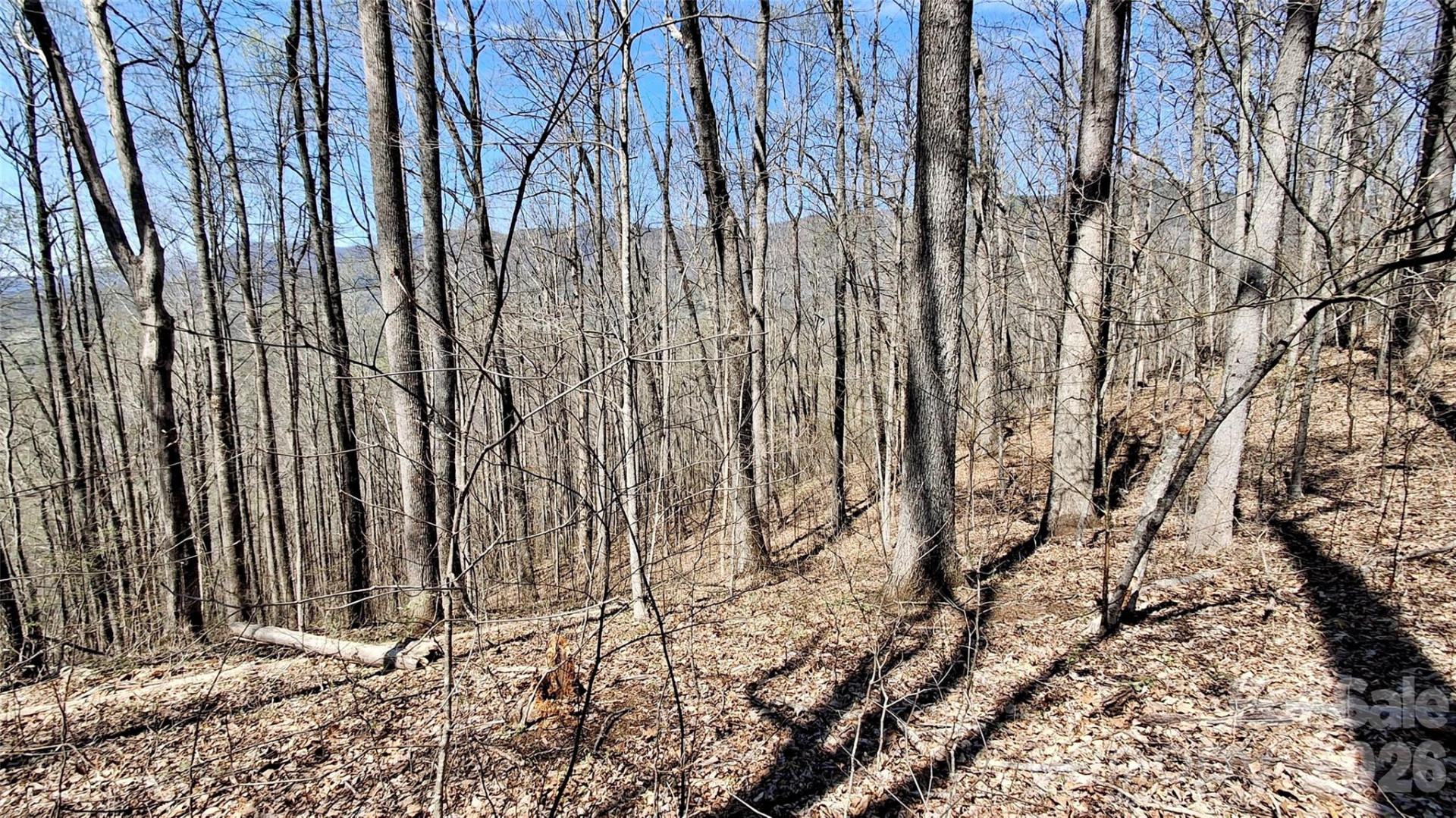 00 Maynor Drive - Photo 23