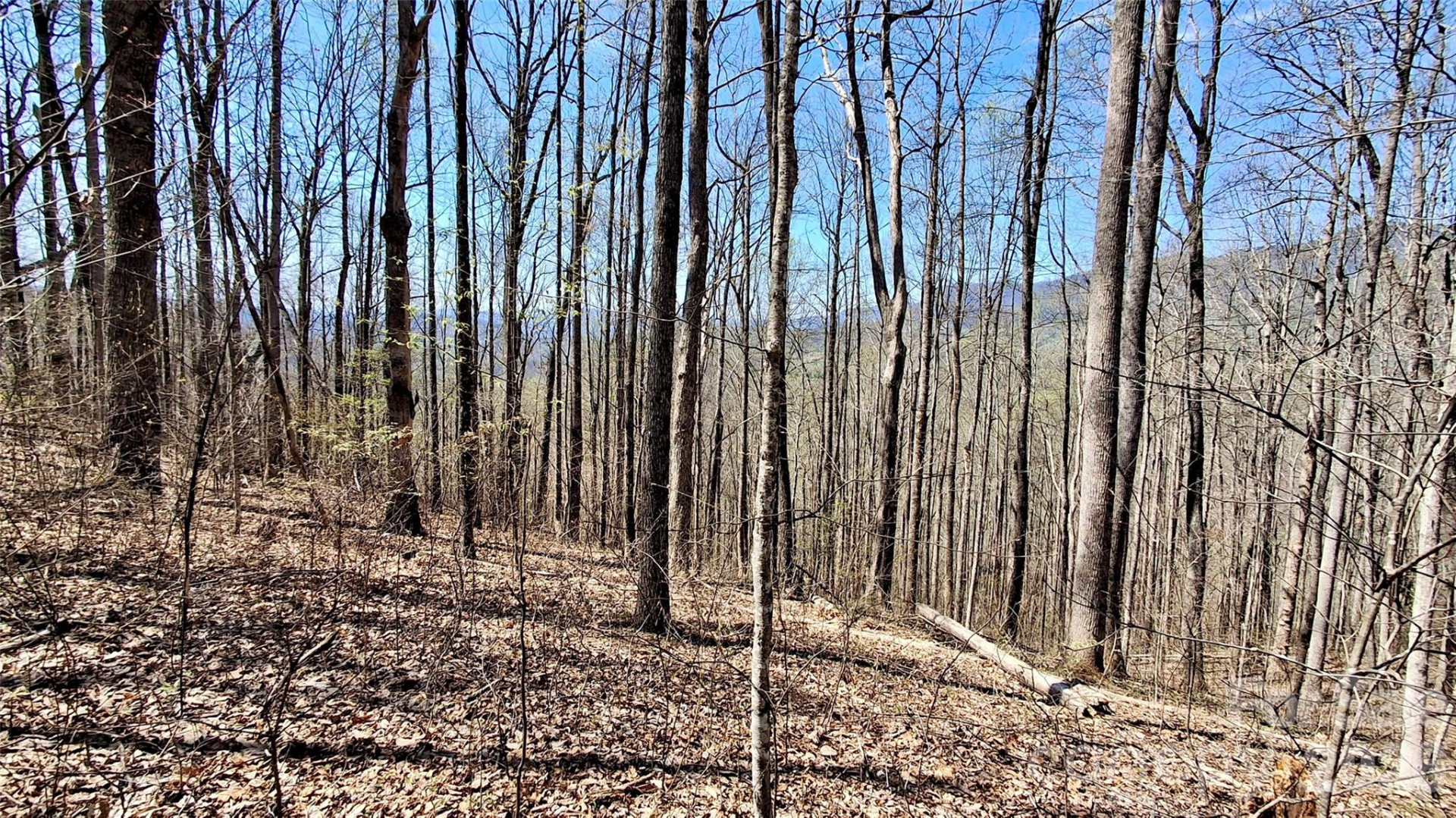 00 Maynor Drive - Photo 24