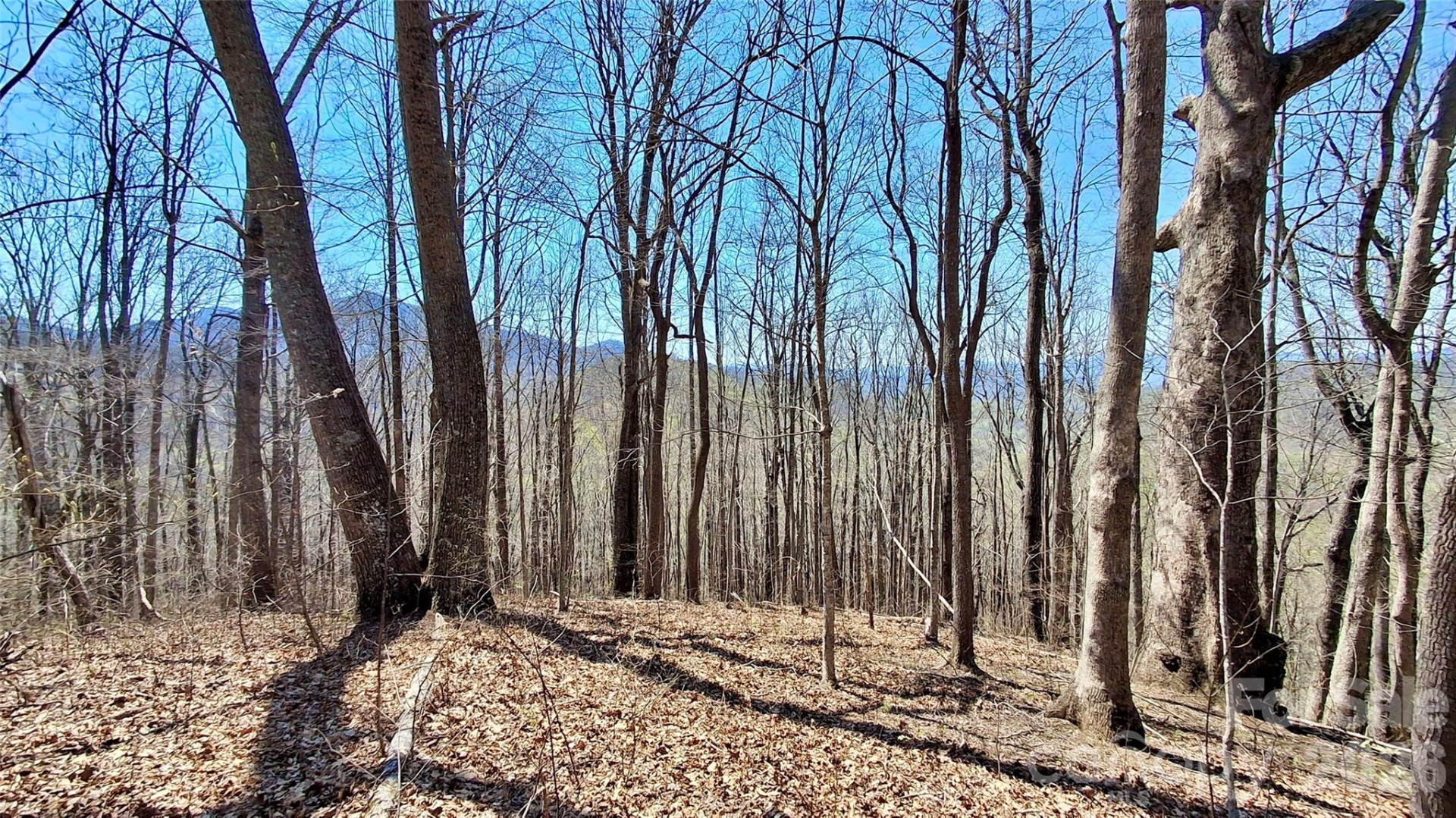 00 Maynor Drive - Photo 25