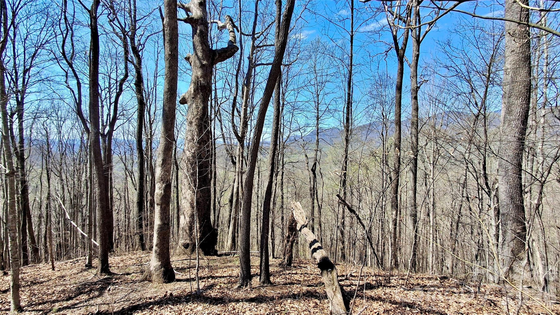 00 Maynor Drive - Photo 26