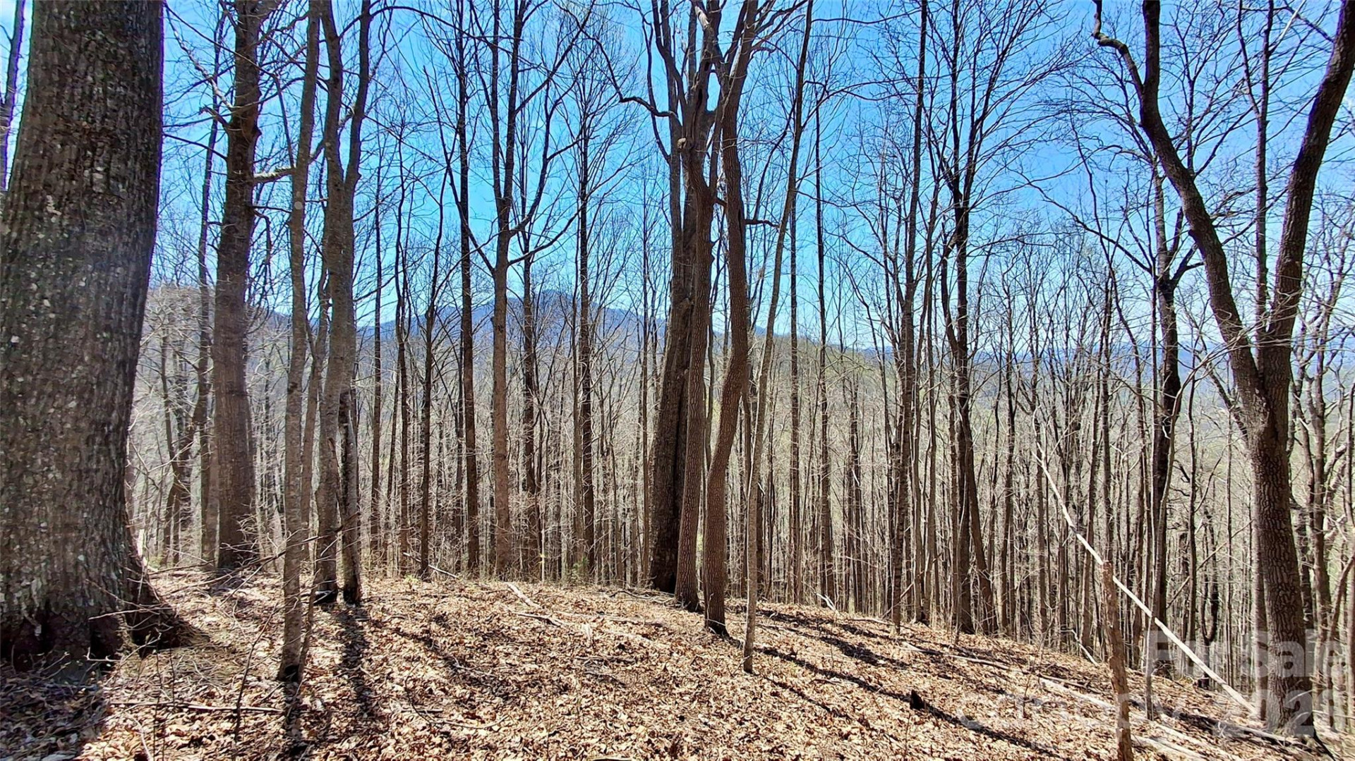 00 Maynor Drive - Photo 27